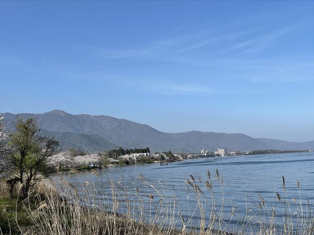 琵琶湖散歩