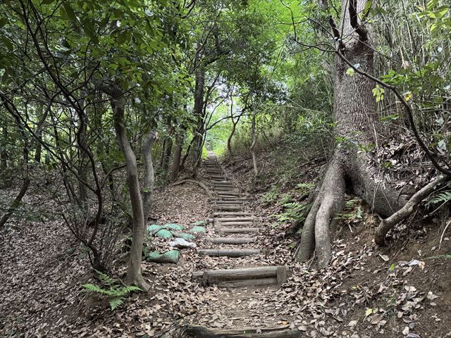 山頂まで続く階段