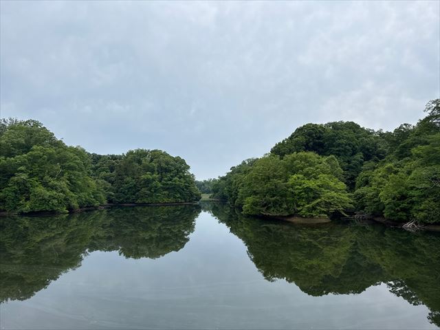 むろ池