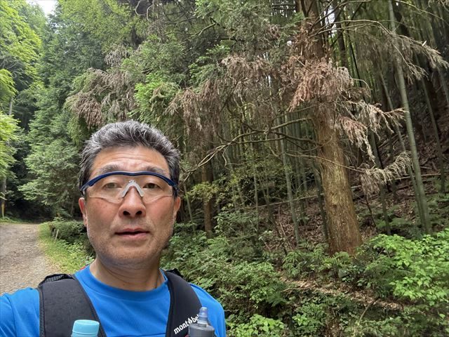 筆者