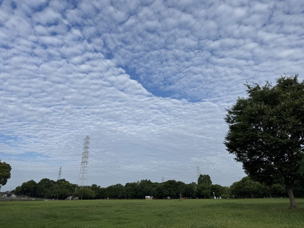 深北緑地