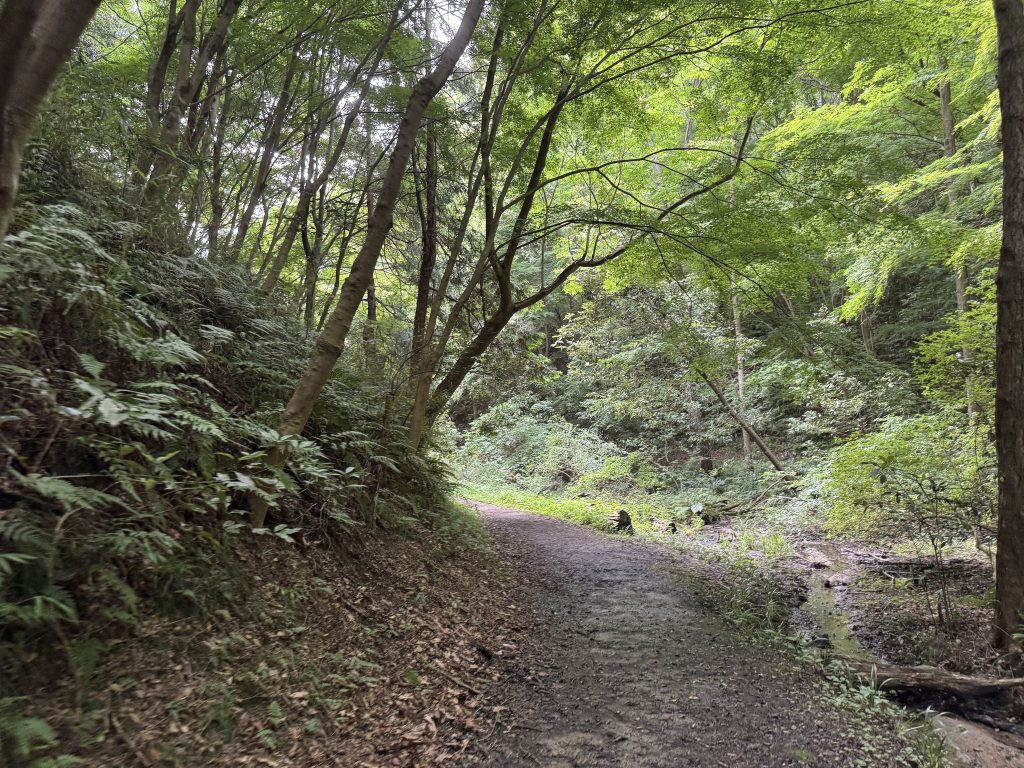 おおさか環境自然歩道