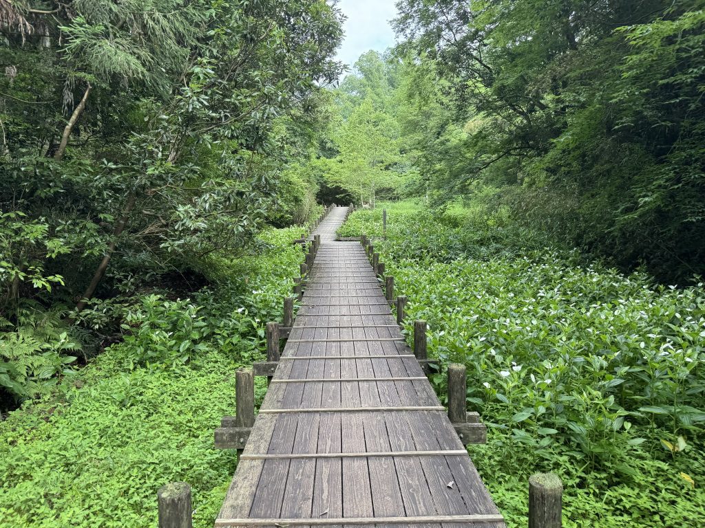 湿生花園