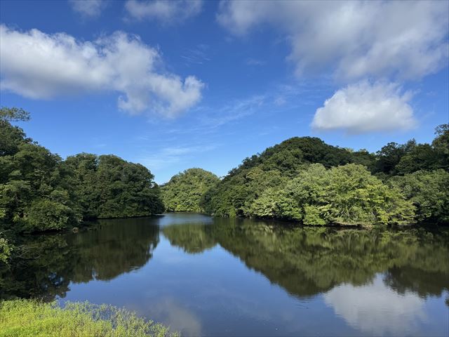 むろ池