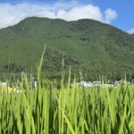 蓬莱山