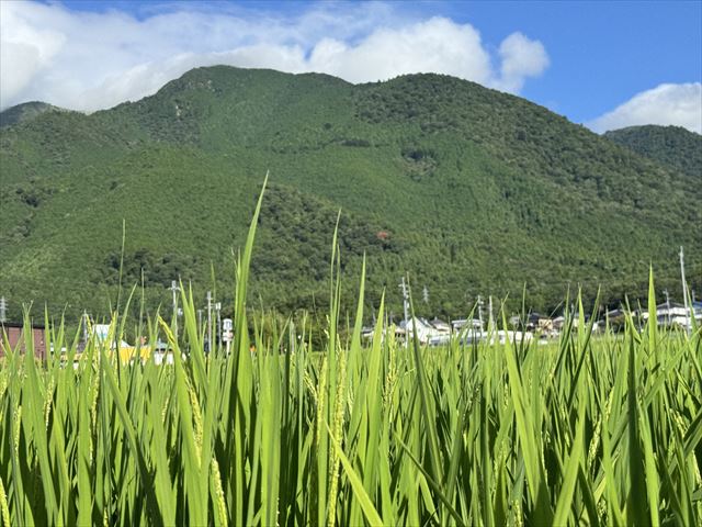 蓬莱山
