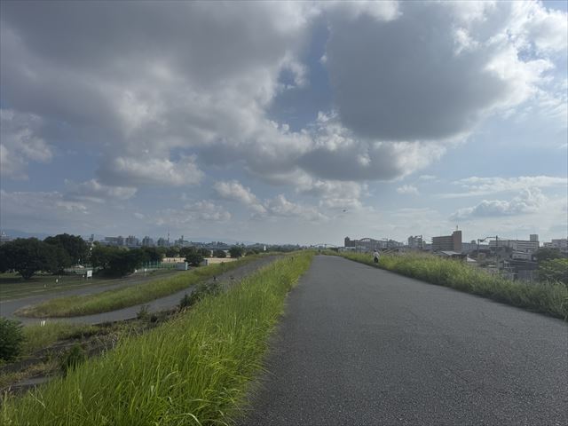 淀川