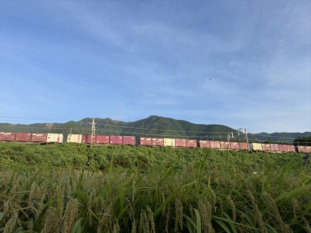 JR湖西線 貨物列車