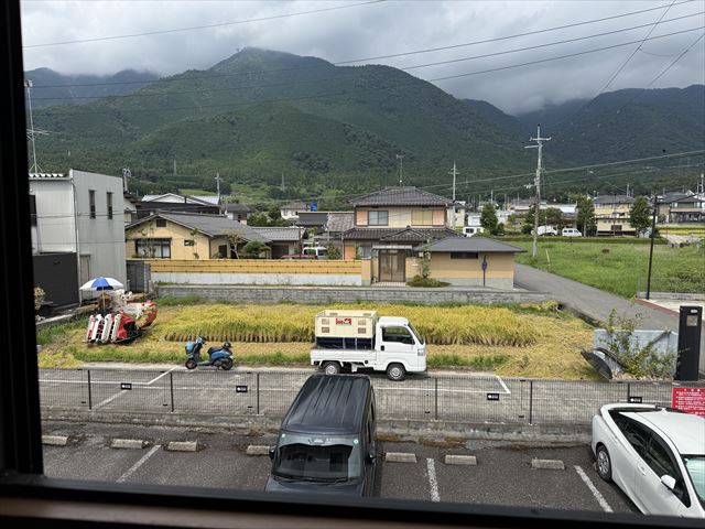 稲刈り真っ最中